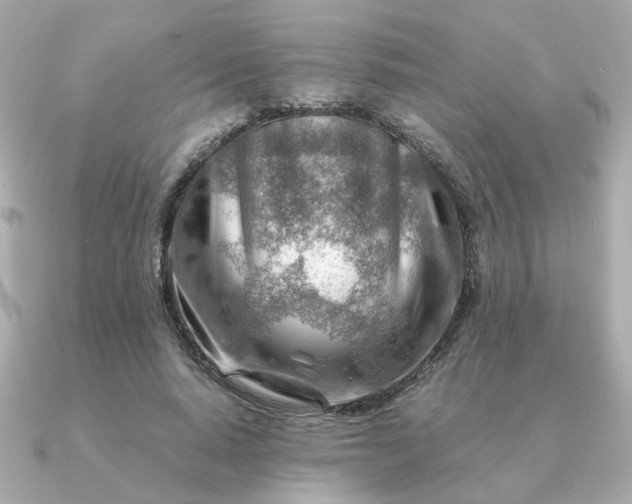 X0000090880640200708101345