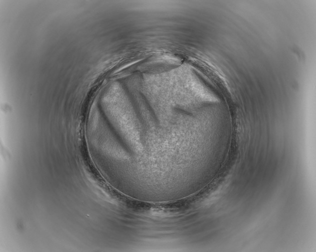 X0000090880641200708101345