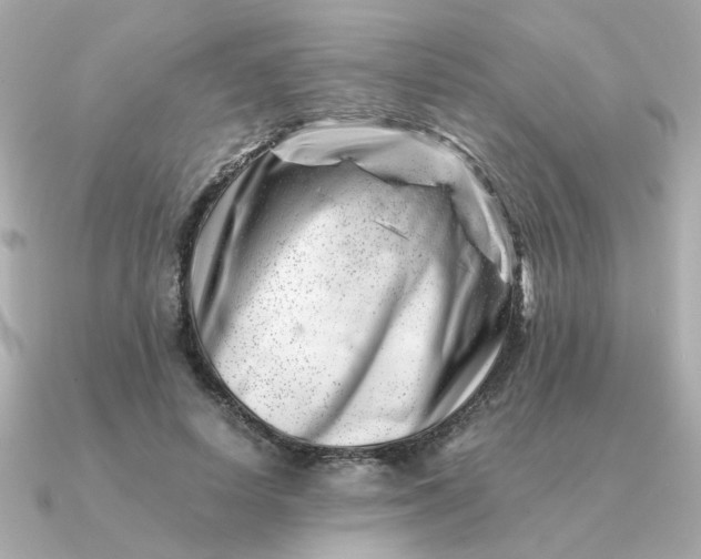 X0000090880642200708101345