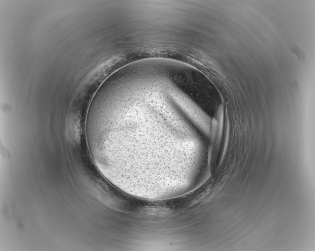 X0000090880644200708101345