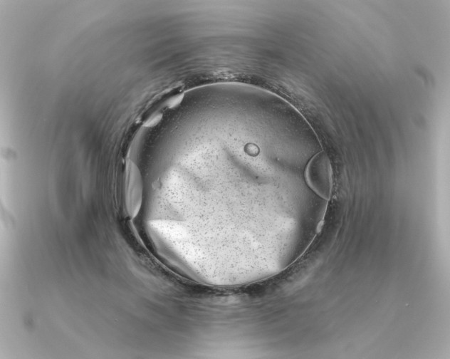 X0000090880646200708101345