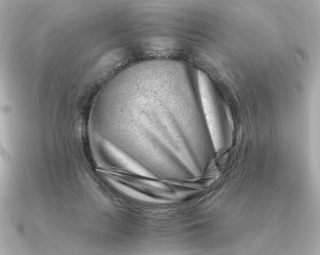 X0000090880647200708101345