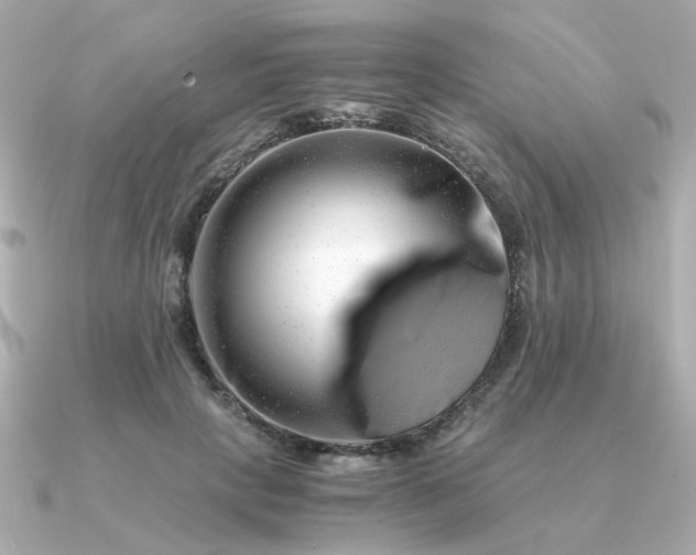 X0000090880649200708101345