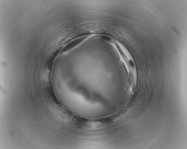 X0000090880650200708101345