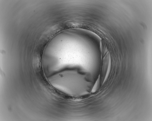 X0000090880651200708101345