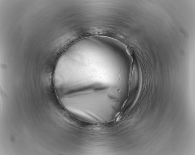 X0000090880652200708101345