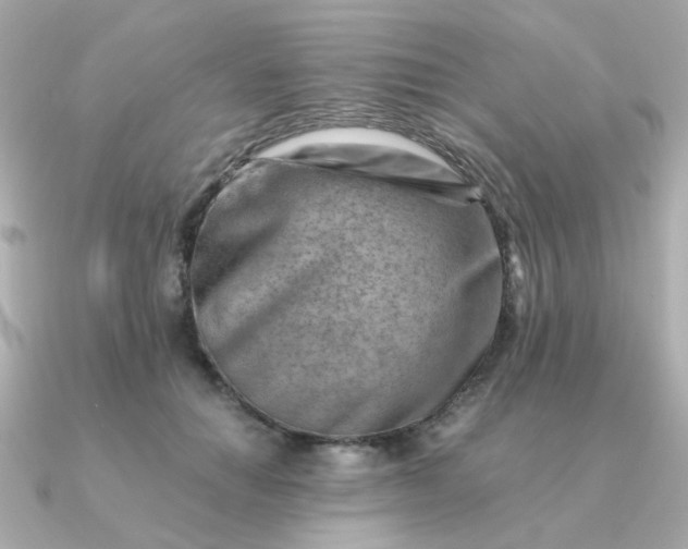 X0000090880654200708101345