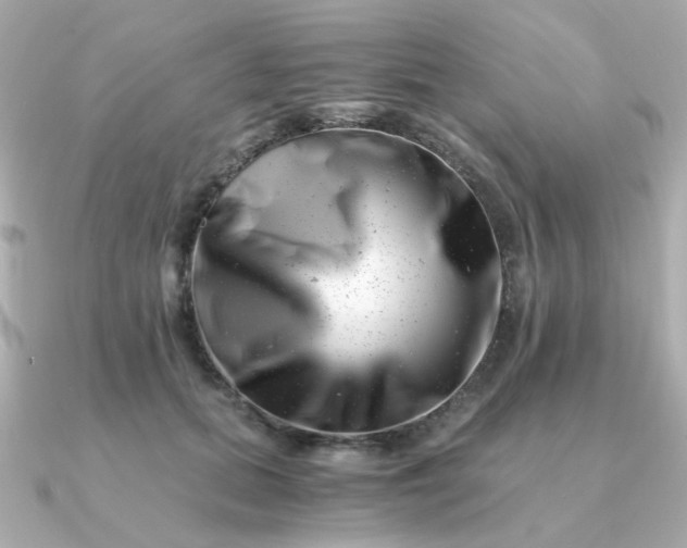 X0000090880655200708101345