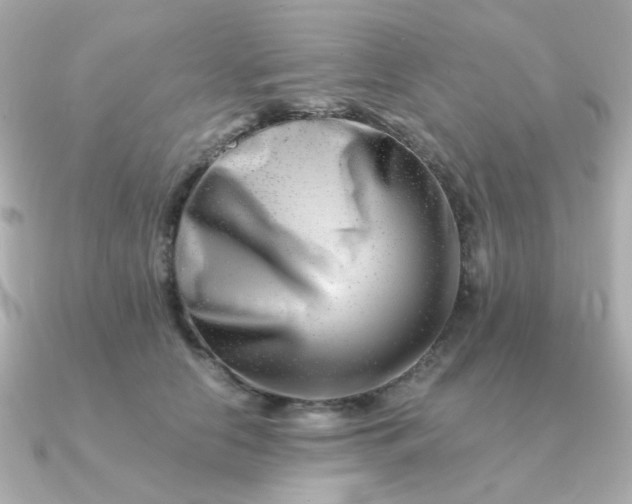 X0000090880658200708101345