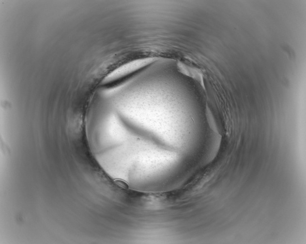 X0000090880660200708101345