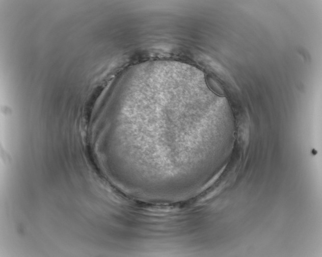 X0000090880661200708101345