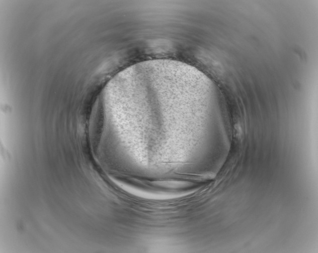 X0000090880662200708101345