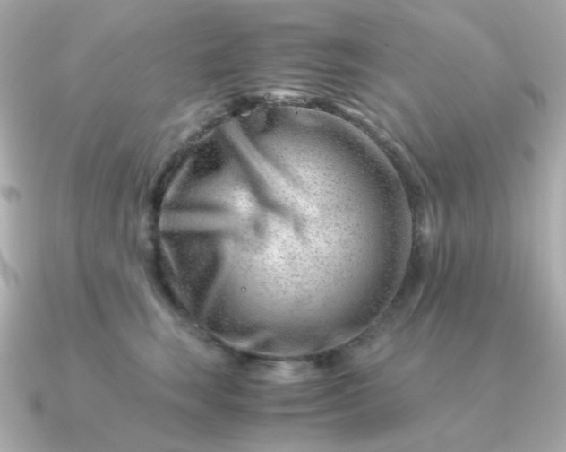 X0000090880663200708101345