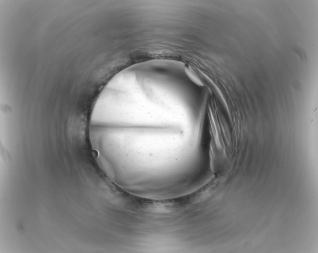 X0000090880664200708101345