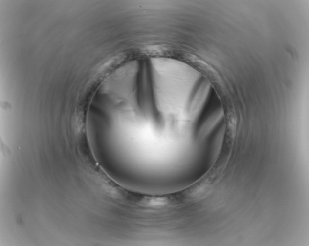 X0000090880665200708101345