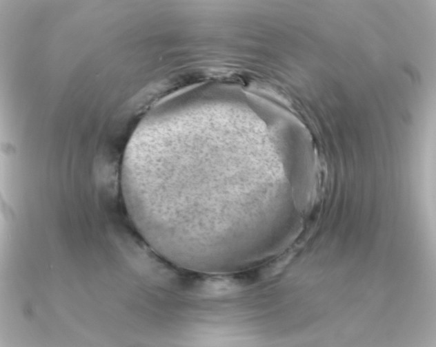 X0000090880666200708101345