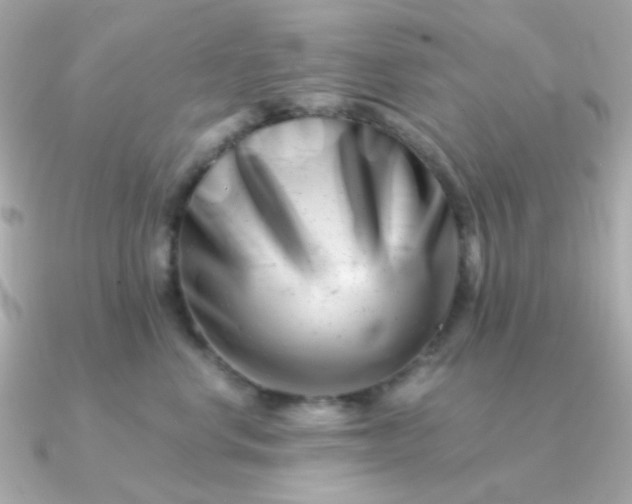 X0000090880668200708101345