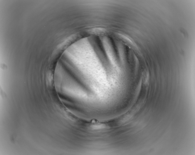 X0000090880669200708101345