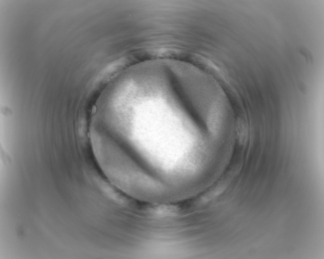 X0000090880670200708101345