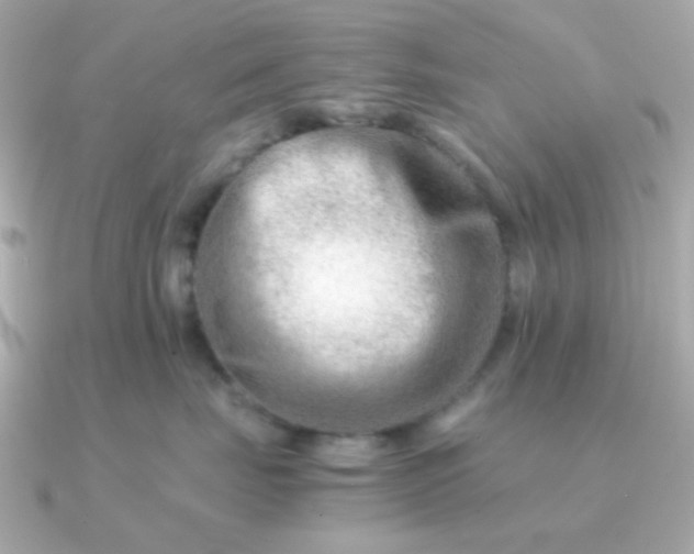 X0000090880671200708101345