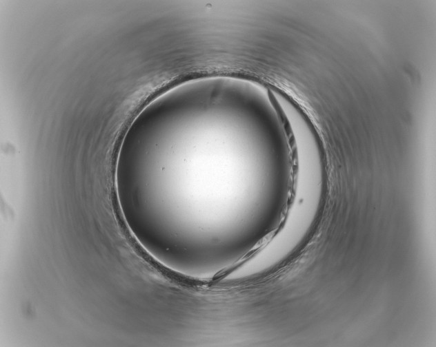 X0000090880673200708101345