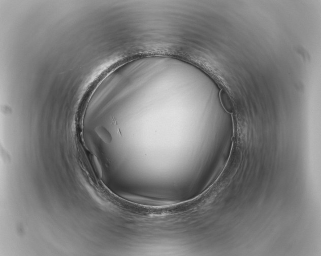 X0000090880674200708101345