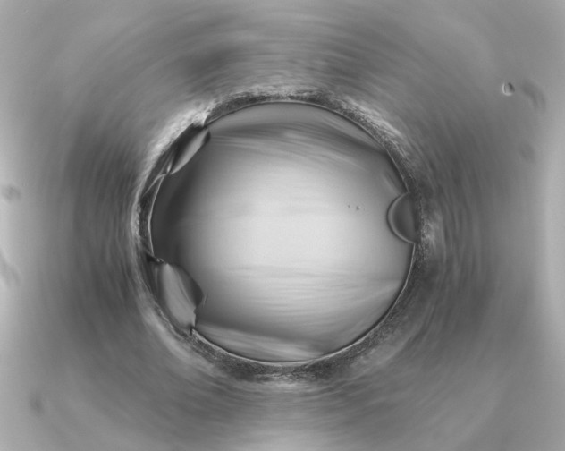 X0000090880678200708101345