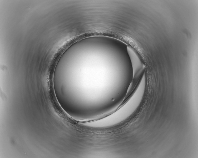 X0000090880680200708101345