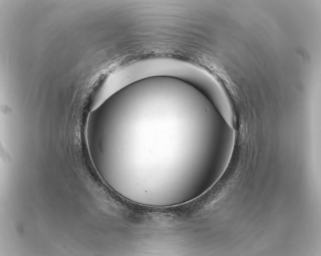 X0000090880681200708101345