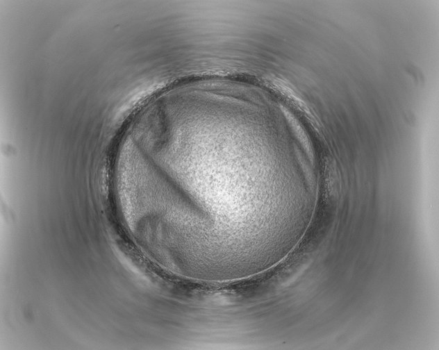 X0000090880683200708101345