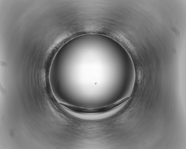 X0000090880684200708101345