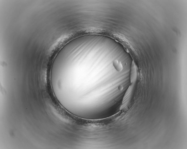 X0000090880686200708101345