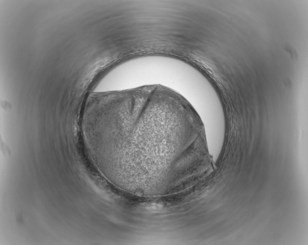 X0000090880687200708101345