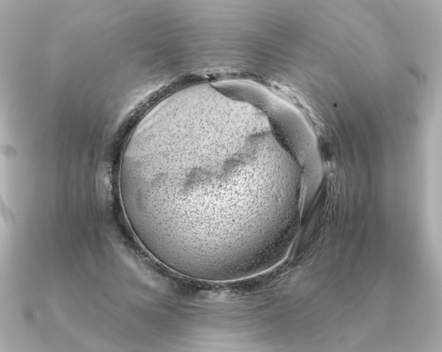 X0000090880688200708101345