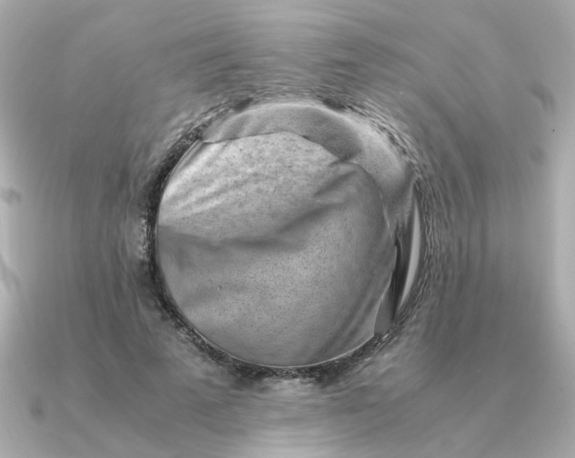 X0000090880689200708101345