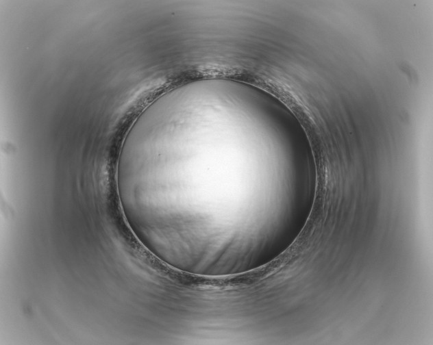 X0000090880690200708101345