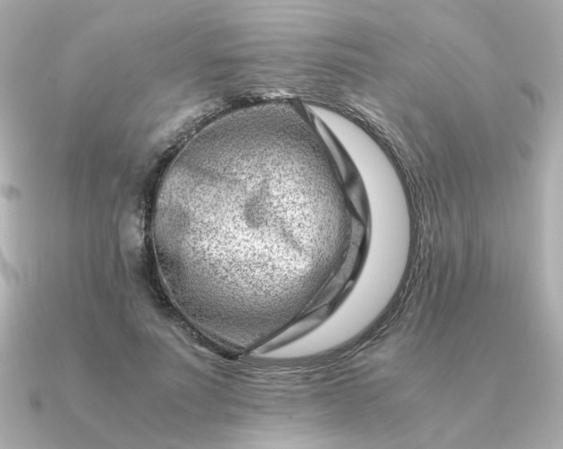 X0000090880691200708101345