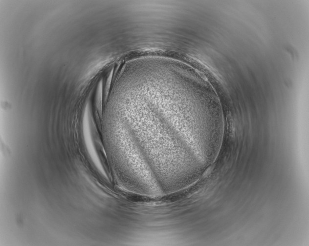 X0000090880692200708101345