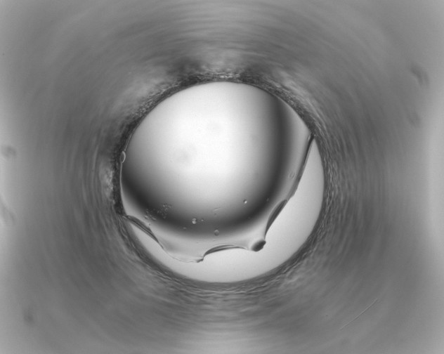 X0000090880693200708101345