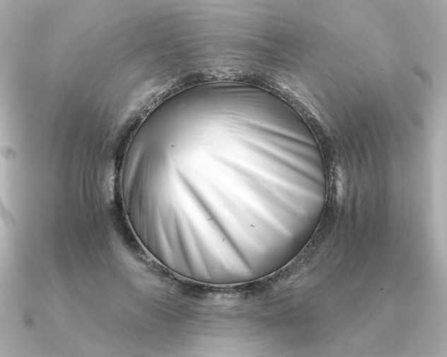 X0000090880694200708101345