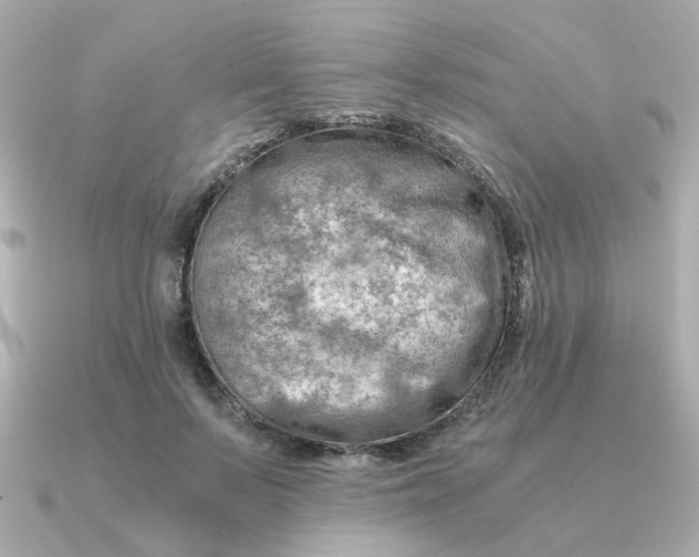 X0000090880695200708101345