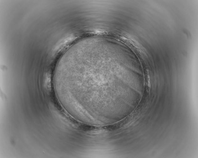 X0000090880696200708101345