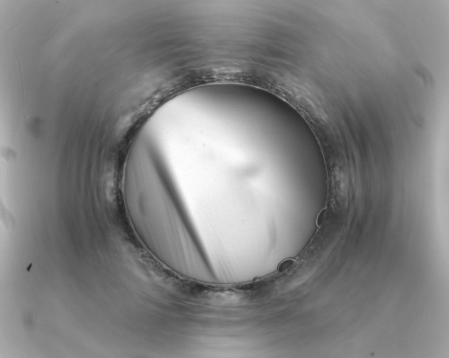 X0000090880698200708101345