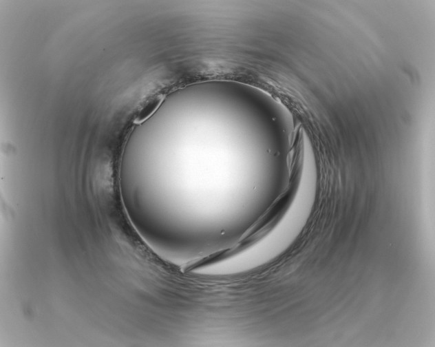 X0000090880700200708101345