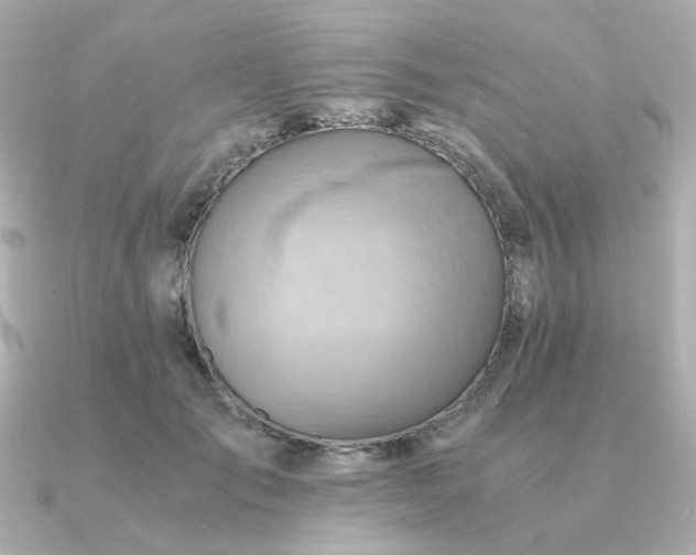 X0000090880701200708101345