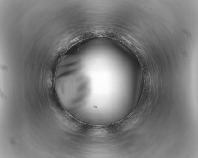 X0000090880702200708101345