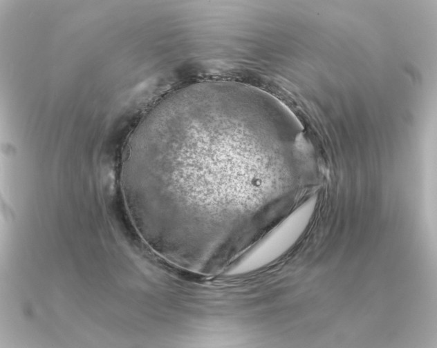 X0000090880703200708101345