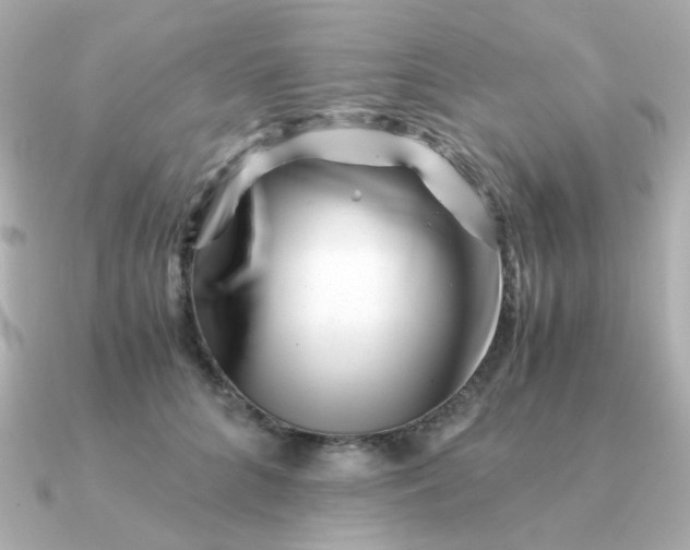 X0000090880704200708101345