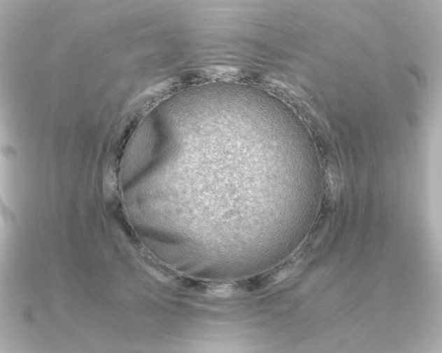 X0000090880705200708101345