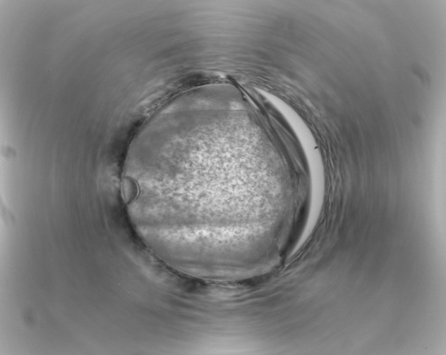 X0000090880707200708101345